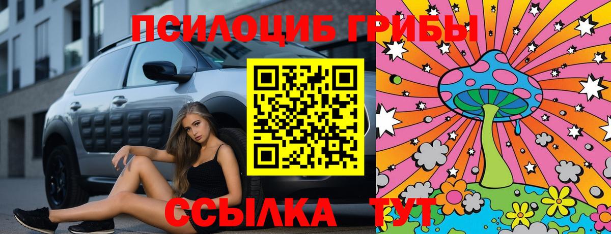 Белгород  Псилоцибиновые грибы Psilocybe  Вход с VPN  Псилоцибиновые грибы GOLDEN TEACHER 