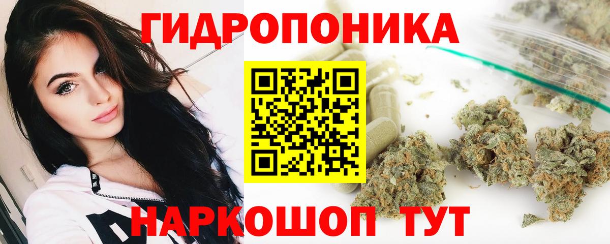 Бошки марихуана планчик  Вход с VPN  Шишки марихуана AK-47  Марихуана MAZAR  Белгород  Марихуана сатива 